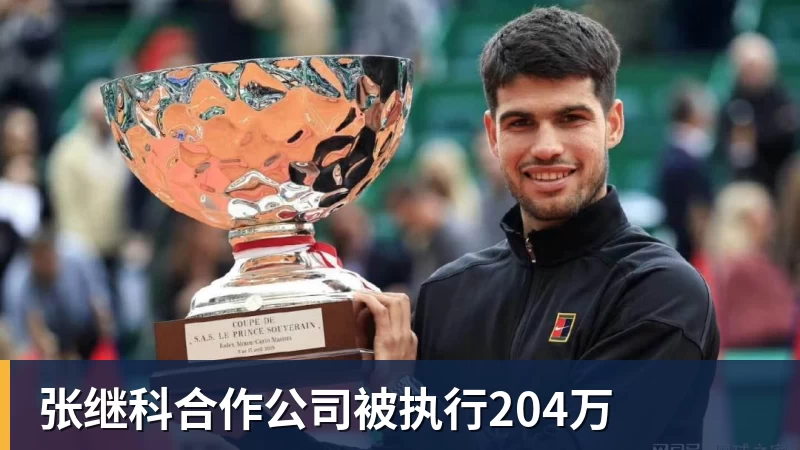 张继科合作公司被执行204万